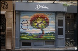 avignon - 05
